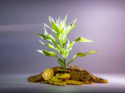Modern Wealth Management