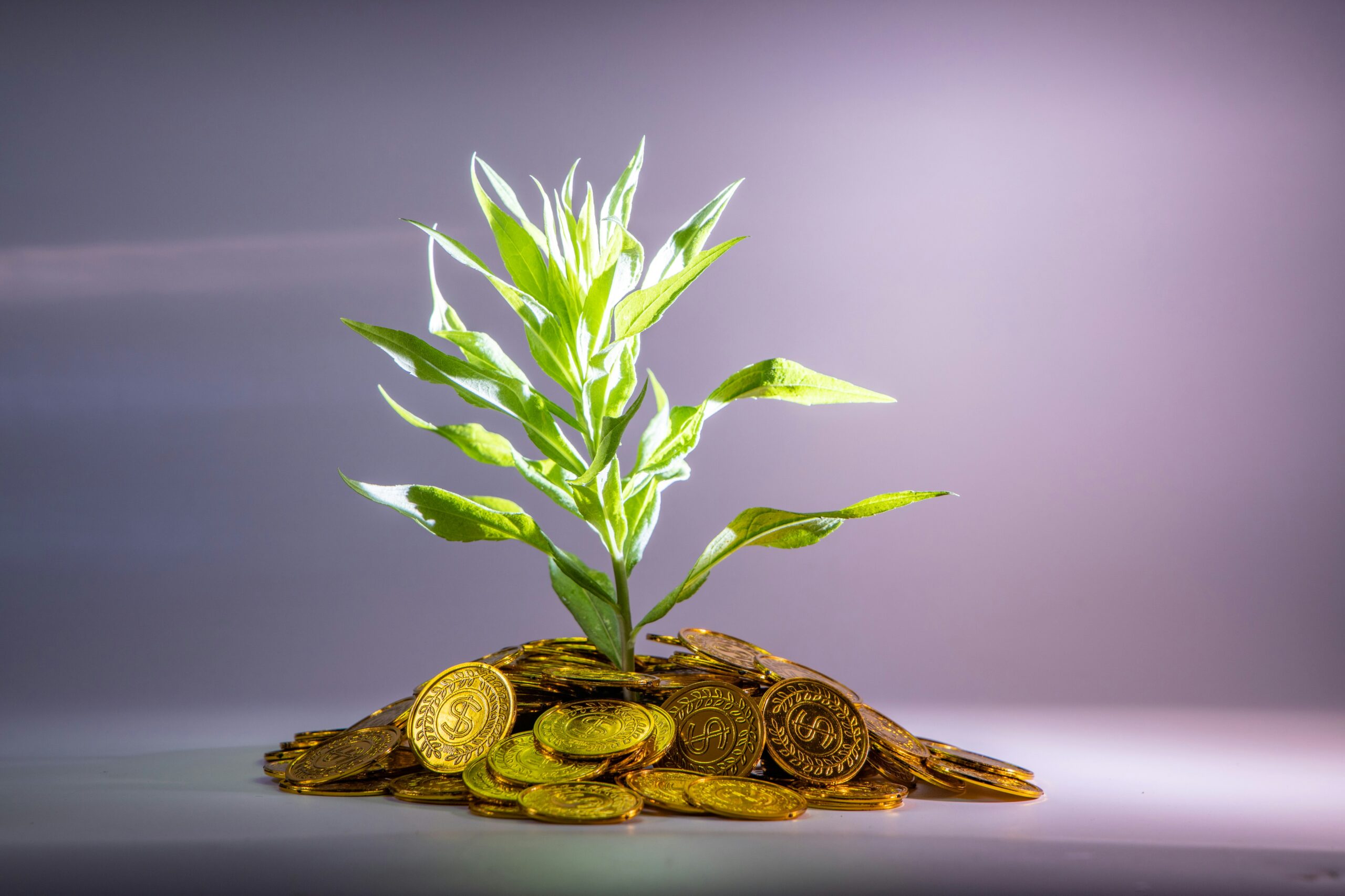 Modern Wealth Management
