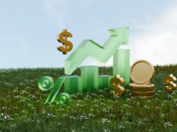 effective wealth management